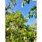 Lagoudis Comfortable holiday residence - Kalianeika