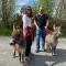 Unique Stay on an Alpaca Therapy Farm with Miniature Donkeys North Wales - 莫尔德