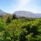 Hout Bay Hilltop