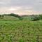 Maison cosy avec vue sur les vignes. - Libourne