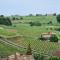 Maison cosy avec vue sur les vignes. - 利布尔讷