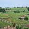 Maison cosy avec vue sur les vignes. - Libourne