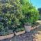 Mini villa jardin 50 m plage