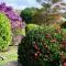 Oneroa Tui Garden - Be My Guest Waiheke