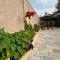 Shekhars Place