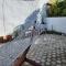 Mystic Guest House Famagusta