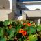 Ema's Olive Garden Apt 2 -private parking, 10 min drive from sandy beach - Poličnik