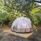 Dome, Cupola, igloo, bolla con cielo a vista