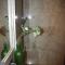 Le Clos Saint Nizier Troyes - Cathédrale- PARKING - WIFI