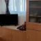 Wooden beach house / Nea Roda, Halkidiki