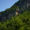 Forest Side Gogolati