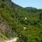 Forest Side Gogolati