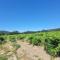Location Gite avec Piscine Luberon ARTEMISS