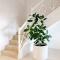 Pooch Friendly Renovated Beach Retreat with Views