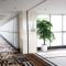 Crowne Plaza Shanghai Anting-Auto City - 15 Minutes drive to F1