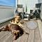 Haus Concordia 2 SUNDOWNER
