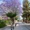 Urban Habitat Executive Suites