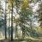 Chalet midden in de natuur! - Anloo