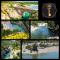 Camping siblu à Valras plage