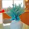 LOVELY AND SUNNY APARTAMENT 300m FROM BEACH!!