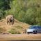 Lodge Studio Terres d'Afrique - Thoiry