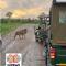 Kholiwe On Kruger Lodge & Safaris