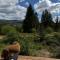 MOKHY Chalet & Nature