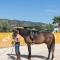 Finca Dos Cipreses - Ventorros de la Laguna