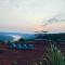 Yuva Yatri Campsite - Mahabaleshwar