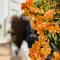 Garden City Private Apartment Costa Adeje