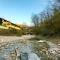 Natura tra bosco e lago