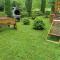 Wooden House Ripac