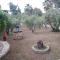 Filio Rooms