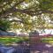 Fig Tree Farm Cottage - Riverfront Retreat On The Manning River