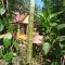 Dreams holiday home estate stay coorg