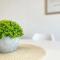 Apartments Contessa - Novigrad – Istrie
