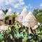 Trulli della Madonnina By Wanderlust Experience