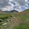 Lake Song-Kul - Song-Kul
