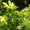 Casa de Gio