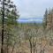 Treehouse Ranch - Goldendale