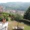 Wine Passion Panoramic