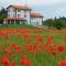 La collinetta B&B