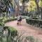 Condesa Residence Amsterdam 202 Bright 1BR 1BA On Amsterdam Av - Città del Messico