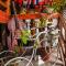 Hostal Raíces de mi Pueblo