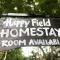 Happy field homestay - Phong Nha