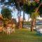Ban Narai River Guesthouse