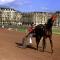 ibis budget Caen Mondeville - Mondeville