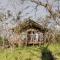 Mdluli Safari Lodge