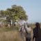 Mdluli Safari Lodge