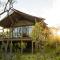 Mdluli Safari Lodge - 雾观